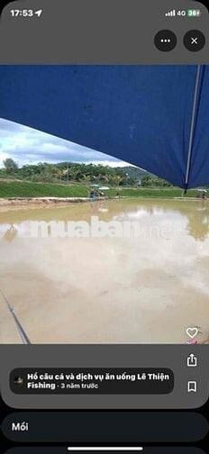 Bán Quán Nhậu Hồ Câu Dịch Vụ Vườn Sầu Riêng thu Hoạch