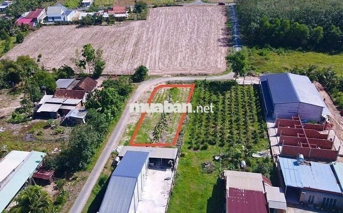 ĐẤT NỀN CẠNH KCN PHƯỚC ĐÔNG - 435 TRIỆU, SHR, DC ĐÔNG, ĐẦY ĐỦ TIỆN ÍCH