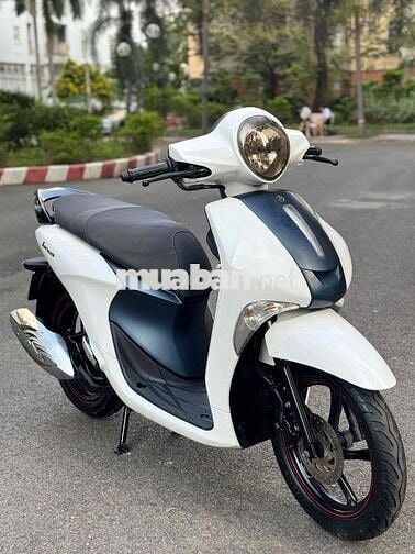 💥Yamaha Janus 2019 khoá Smartkey nguyên zin