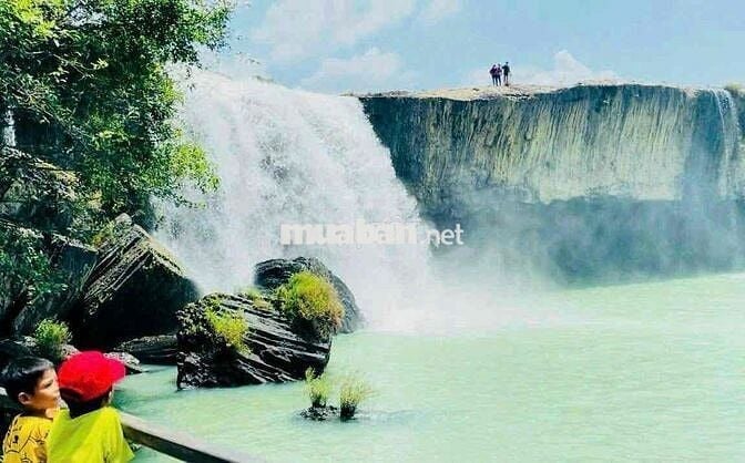 CHÍNH CHỦ, BÁN LÔ ĐẤT: 60 x 70m (TỔNG CỘNG: 4.500m2, ĐÃ CẮT RA 4 SỔ).