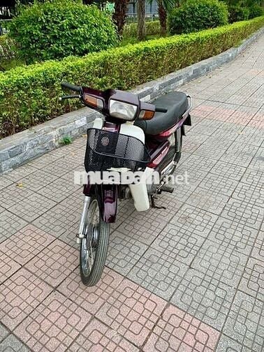 Dream nùn Nhật máy chất ngon