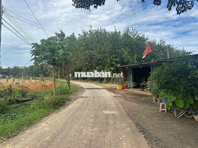 Đất sẵn thổ cư 100m dân cư hiện hữu giá rẻ