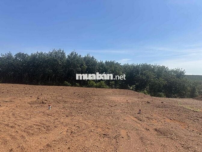 Đất tuyến xuyên tâm 32m giá rẻ