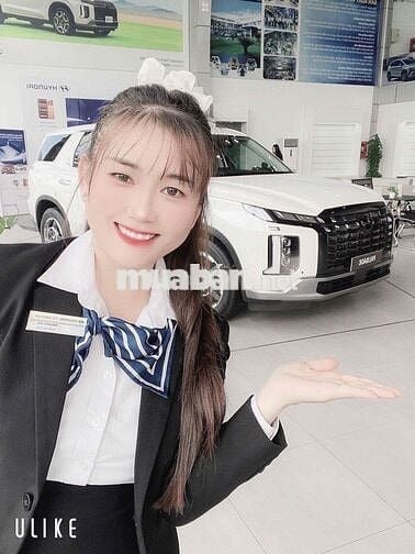 Palisade  GIÁ LĂN BÁNH THẤP HƠN GIÁ CHUẨN