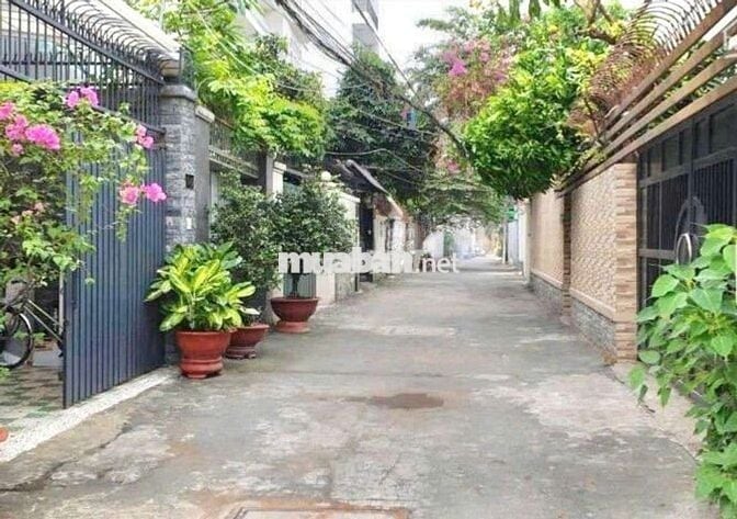 Cho Thuê Nhà 1 Trệt 1 Lầu 5x16m Hẻm Xe Hơi 793 Trần Xuân Soạn Q.7