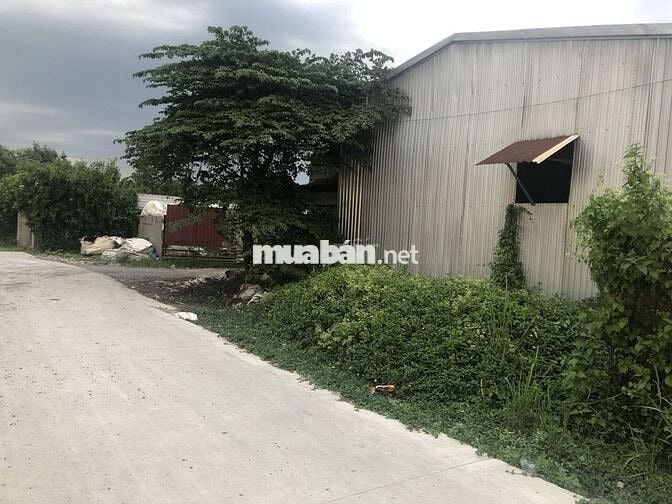 CHÍNH CHỦ BÁN NHÀ XƯỞNG 20X52, ĐIỆN 3P TI250. BÌNH CHÁNH,TPHCM