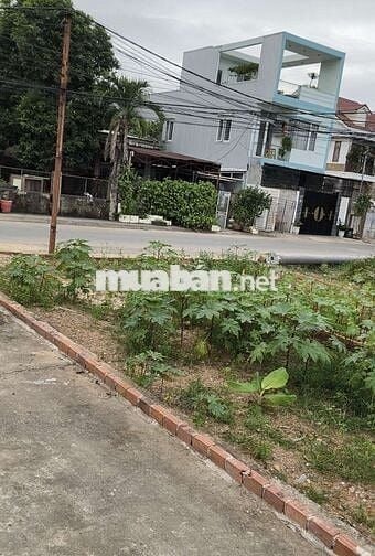 Chỉ còn 1 lô - Đất mặt tiền Trinh Đường 80m² – giá 3 tỷ 6