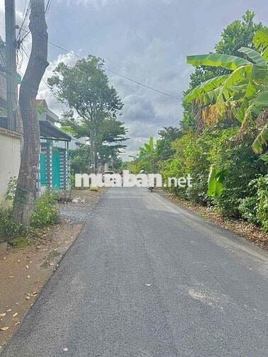 ĐÂT MẶT TIÊN HUYỆN 92 B - ĐẠO THẠNH MỸ THO