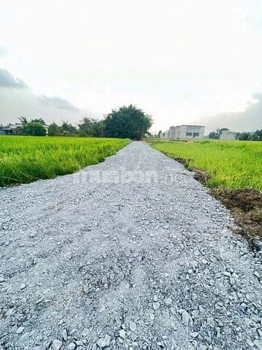 Bán đất Xã Hòa Khánh Đông. Đức Hoà, Long An