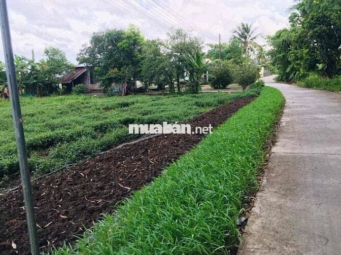 CẦN BÁN 128.8M2 ĐẤT XÃ THẠNH LỘC CÁCH TUYẾN CHÁNH 900M