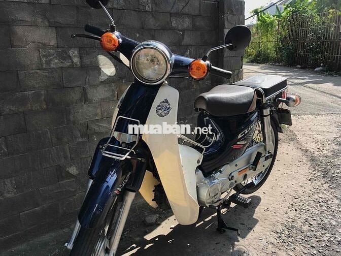 Halim Cub 50cc 2021 học sinh biển TP.HCM