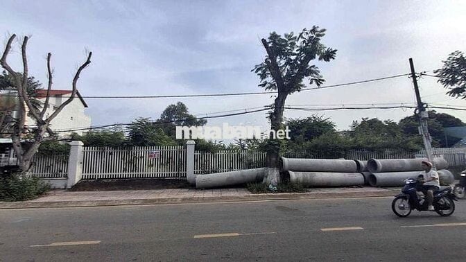 CẦN TIỀN BÁN NHANH LÔ ĐẤT MẶT TIỀN ĐƯỜNG DUYÊN HẢI GIÁ TỐT ĐỂ ĐẦU TƯ