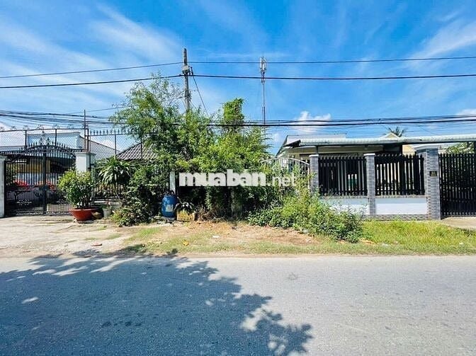 🔥 ĐẤT MẶT TIỀN TRƯƠNG THỊ KIỆN – VỊ TRÍ VÀNG GIỮA KHU DÂN CƯ ĐÔNG ĐÚC