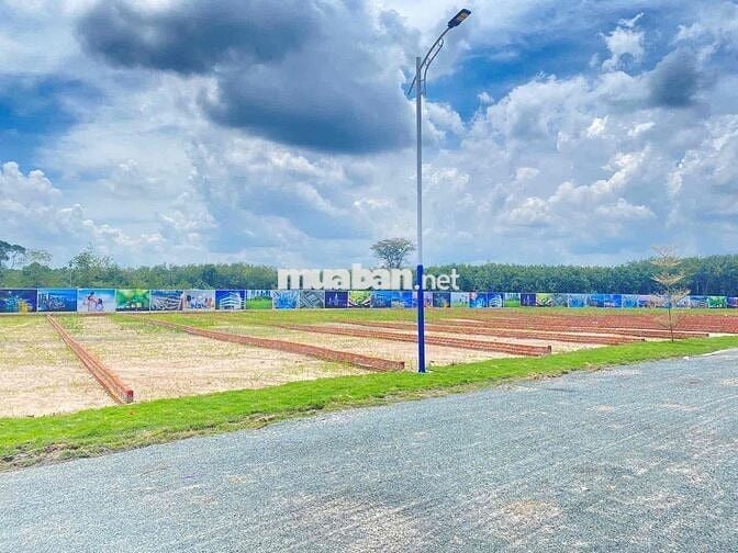 ĐẤT SỔ SẴN NGAY CẠNH BECAMEX GẦN TRƯỜNG HỌC VÀ CHỢ GIÁ F0