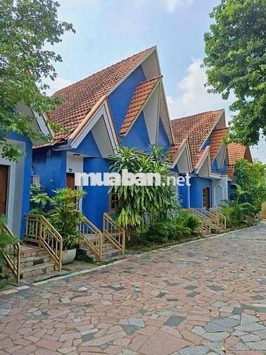 Căn hộ Mini gần Đại Học Thủ Dầu Một full nội thất Wiffi miễn phí