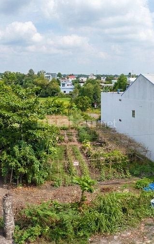 Đất ngộp 11x15m,1,05 tỷ,Củ Chi,sổ riêng, hỗ trợ vay 80%