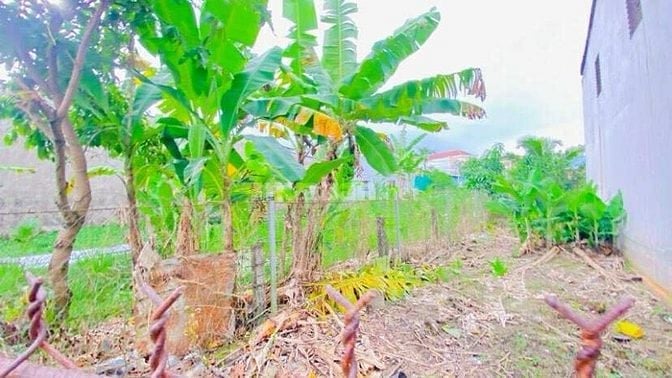 Bán đất 450 m2 gần cầu Đầu Sấu đường 3/2