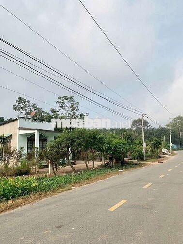 Chủ chuyển veê quê cần bán lại cả đất và nhà