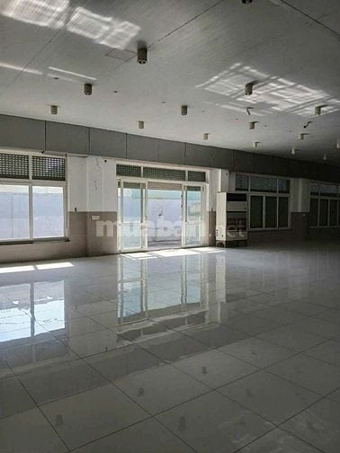 Kho Xưởng cao cấp cho thuê 5200m2 - Mặt tiền Dương Đình Cúc Bình Chánh