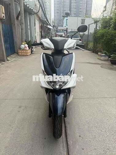 Freego 2019 cavet theo xe giấy tờ đầy đủ bao đẹp