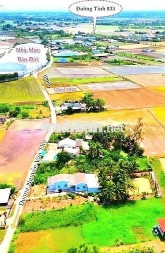 Hàng ngộp, 570tr sở hữu 125m2 đất thổ cư đường Nguyễn Văn Thọ