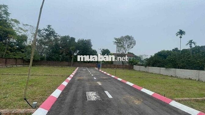 đất nền 100m2 khu trại hồ Cổ đông hoà lạc sẵn sổ, full thổ cư