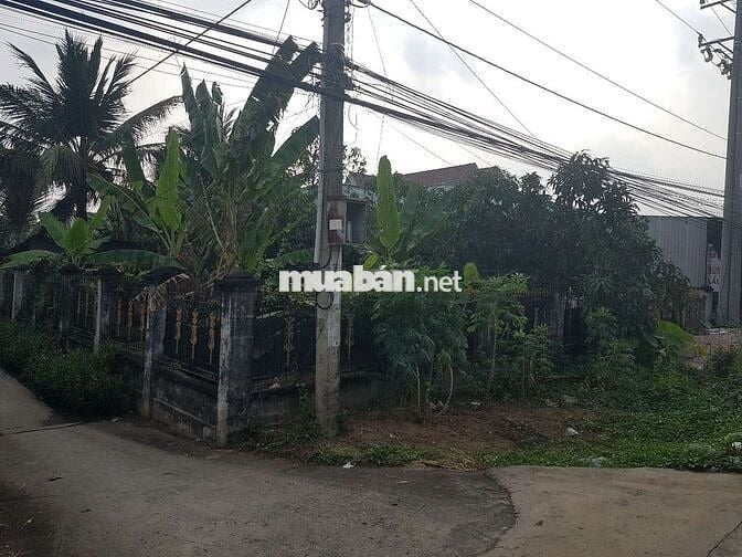 Bán đất đẹp kèm nhà Ql50, thị trấn vĩnh bình