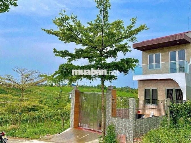 ĐẤT ODT P2,BẢO LỘC SỔ HỒNG RIÊNG TRUNG TÂM XÃ VÒNG XOAY CAO TỐC