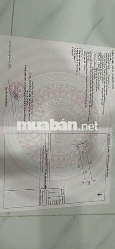 Tôi cần bán nhà cấp 4, 300m2 thổ cư.