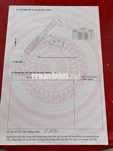 BÁN LÔ ĐẤT ĐẸP ĐƯỜNG Ô TÔ – TDP TÂN HẠNH HOÀ XUÂN