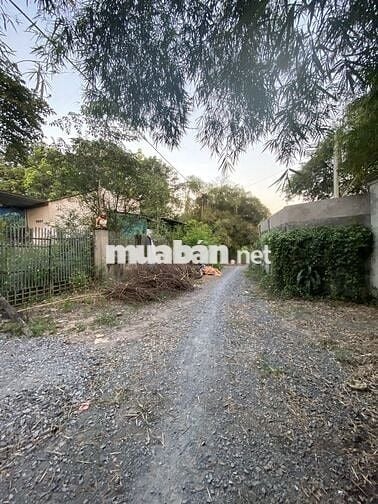 ĐẤT THỔ ĐẸP ĐƯỜNG XE HƠI 1/ NGUYẼN THỊ NÊ - PHÚ HÒA ĐÔNG - CỦ CHI