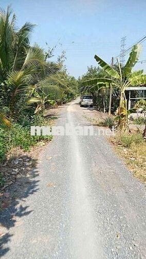 380tr/1000mv ĐẤT VƯỜN ,ĐƯỜNG ÔTÔ TỚI ĐẤT