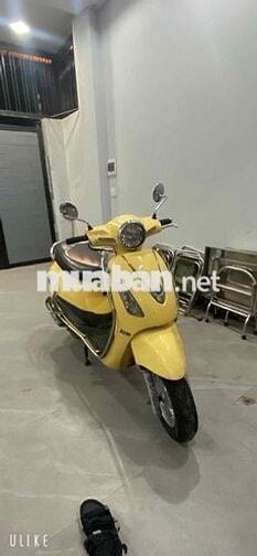 ELizabeth rin cứng ngắt