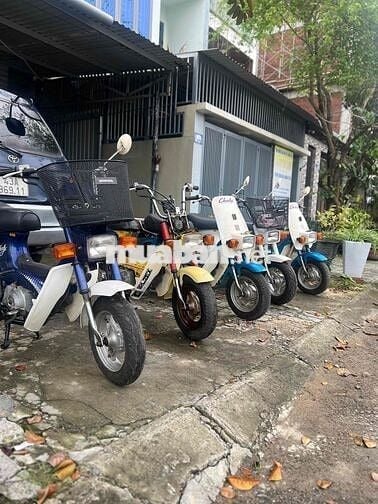 Chaly 50cc ko cần bằng lái, sơn zin đồ zin bít xe.