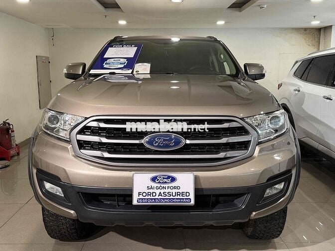 Everest Ambient 2019 Số Tự Động Bán Tại Hãng Ford