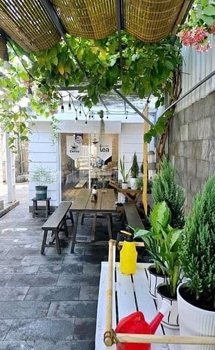 Cho thuê căn nhà nhỏ riêng biệt 35m2 Bình Thạnh có sân vườn