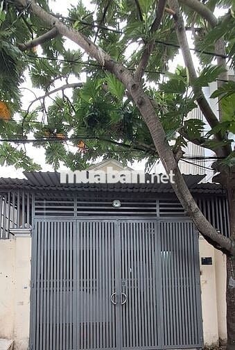 🏡 Cho thuê nhà nguyên căn 5x18m Nguyễn Ảnh Thủ, gần Ngã ba Bầu