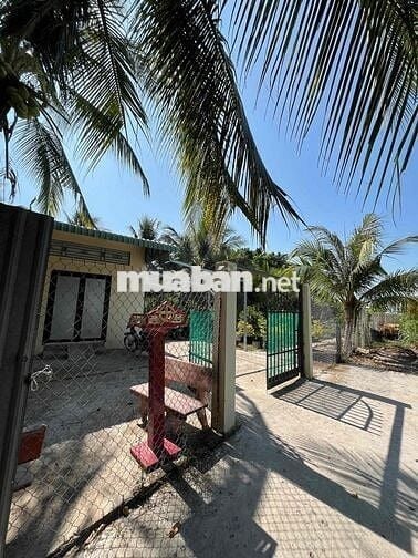 Bán vườn có nhà tại Phường Vĩnh Mỹ, Châu Đốc