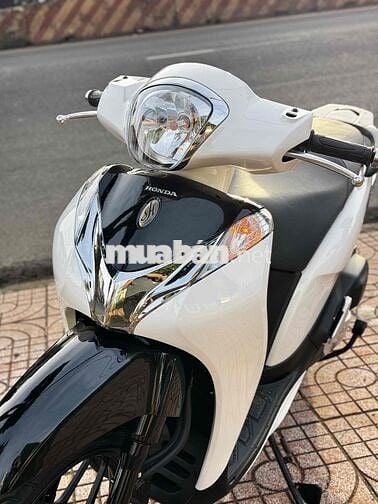 Cần Bán Shmode 2018