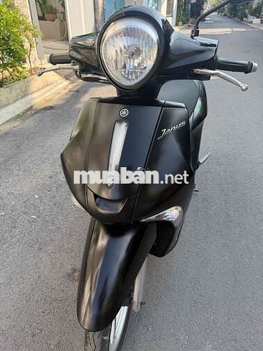 Yamaha Janus xinh đẹp