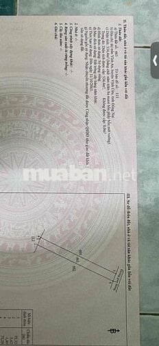 đất đồi cao đẹp bán gấp về quê