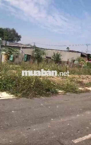 Bán lô đất mặt tiền đường nhựa gần kcn Bàu xéo