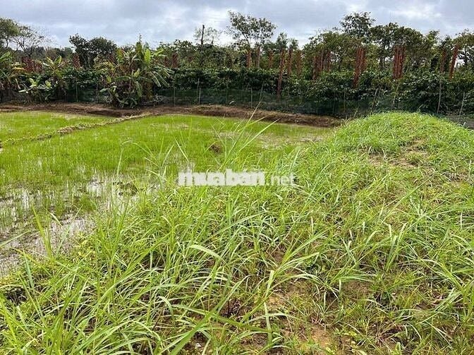 ĐẤT ĐẸP QUỐC LỘ 29 (PHÚ YÊN- ĐĂK LĂK)