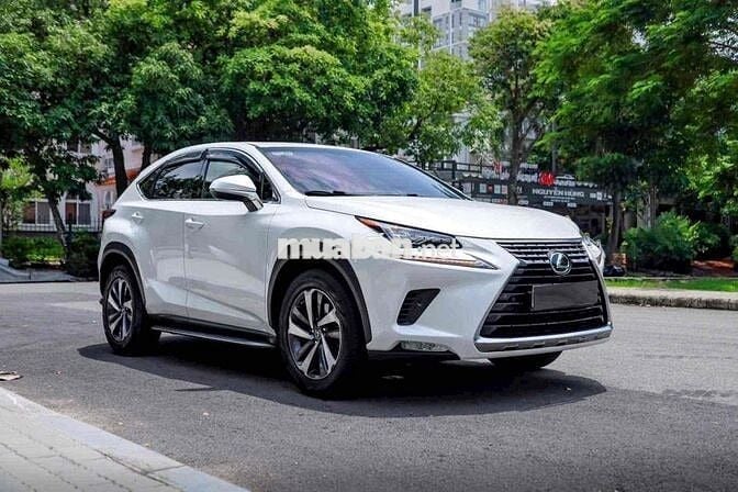 Lexus NX300 2019