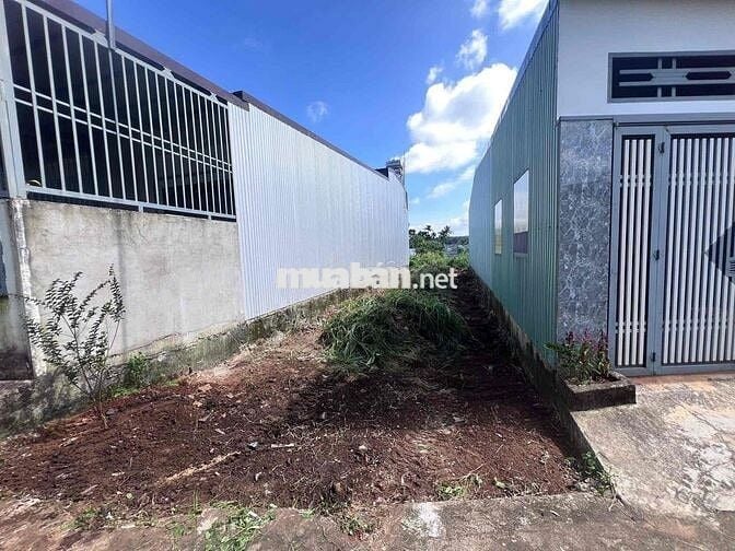 TÂN HÒA – HẺM PHẠM VĂN ĐỒNG GIÁ 1.450🧄( Cách chợ đầu mối Tân Hoà chỉ 6