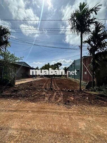 🔥 1 lô *** Mặt tiền D3 KoTam - phường Tân An cách QL26 chỉ 300m❌❌