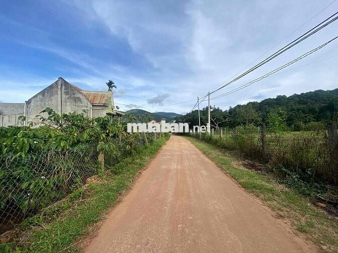 Bán lô đất cực đẹp thích hợp đầu tư nghỉ dưỡng