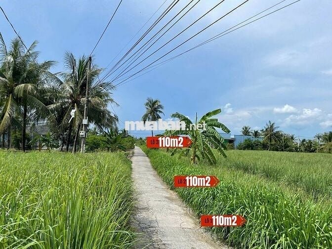 Đất thổ cư 115m² giá 180 triệu cù lao Tân Phú Đông, ô tô vào tận nơi