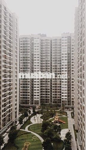 Chính chủ cho thuê căn hộ 1215A tòa S207