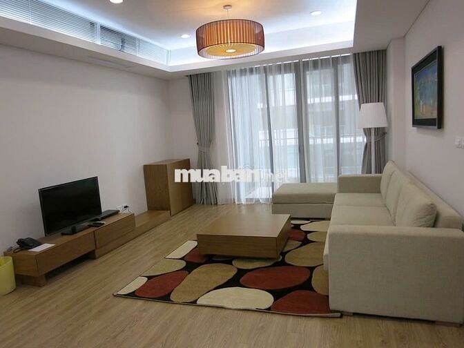 Cho thuê CH Dolphin Plaza, Trần Bình 133m2 2PN full đồ đẹp chỉ 16tr/th